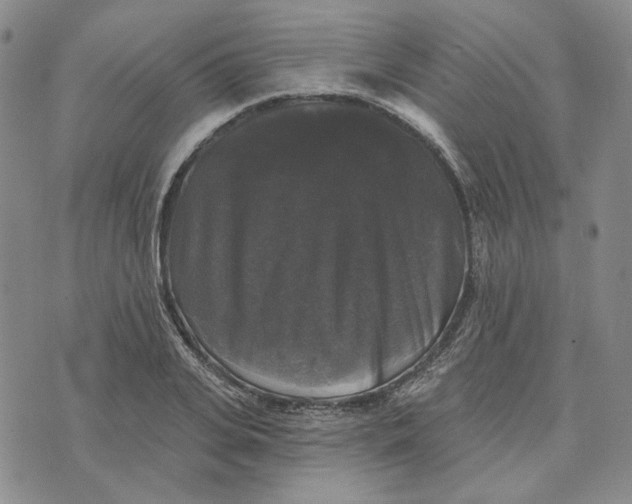 X0000076260935200610191710