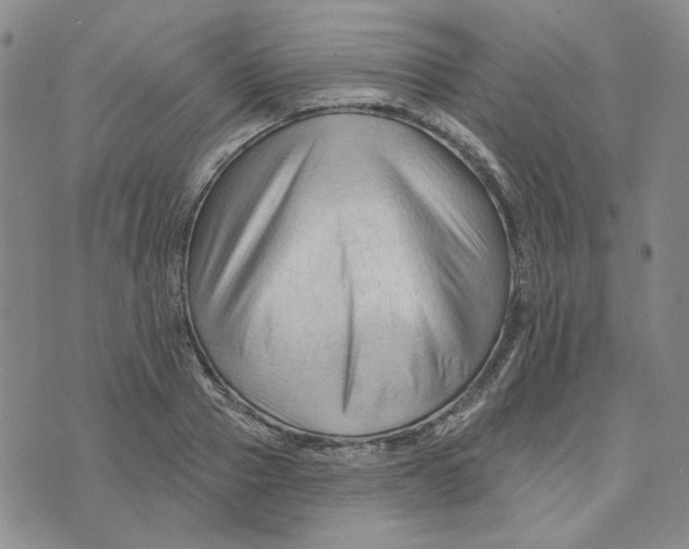 X0000076260937200610191710
