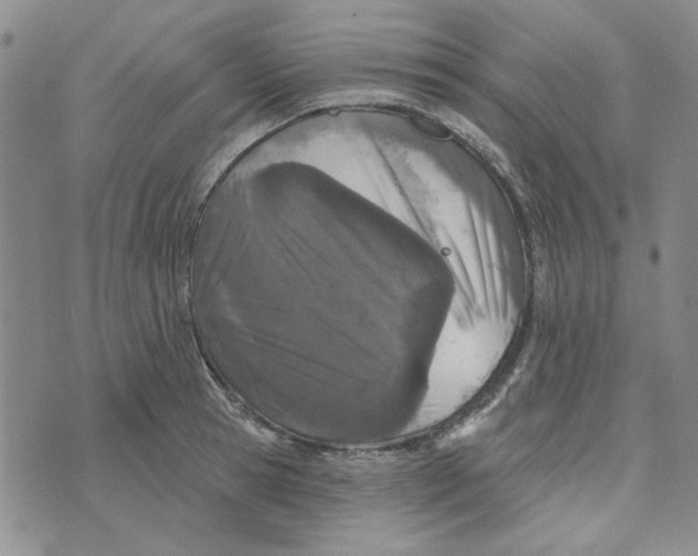 X0000076260945200610191710