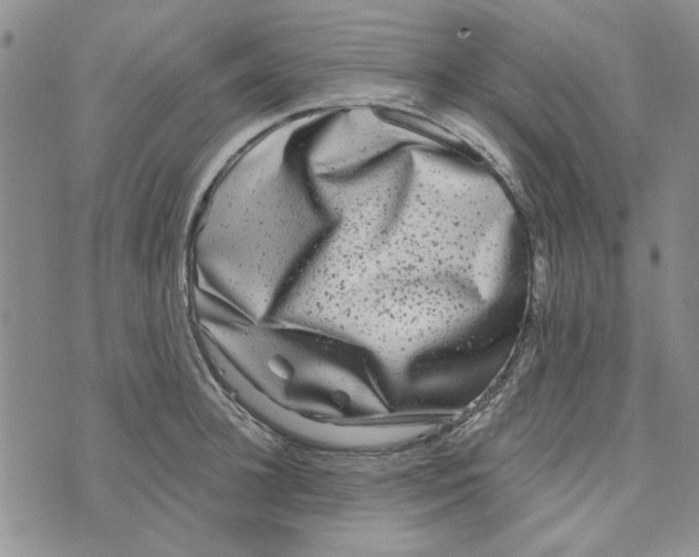 X0000076260948200610191710