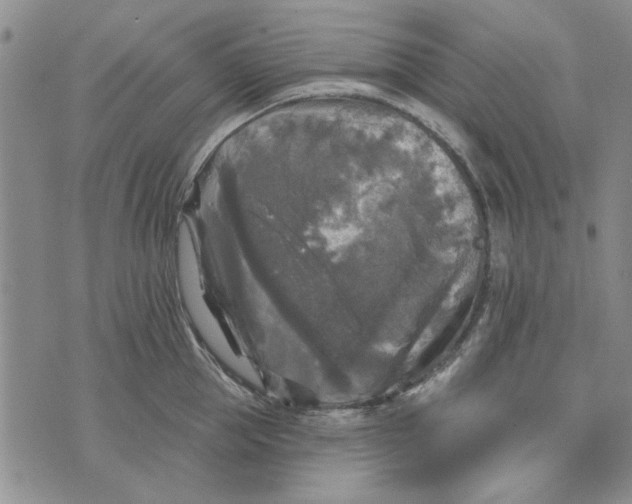 X0000076260953200610191710