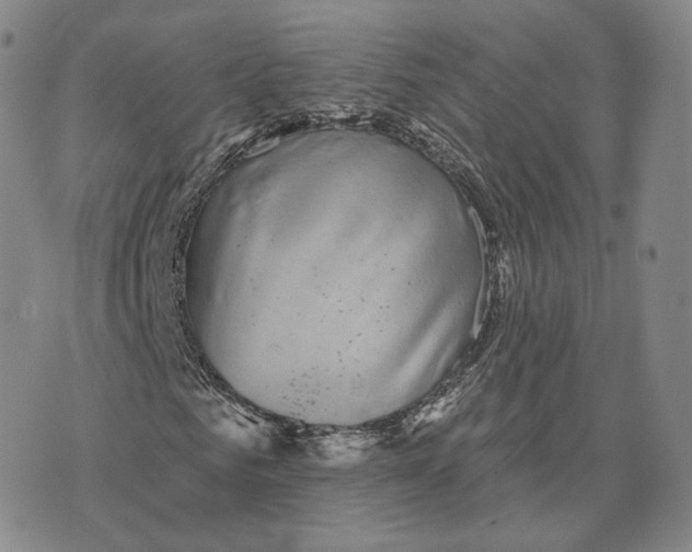 X0000076260961200610191710