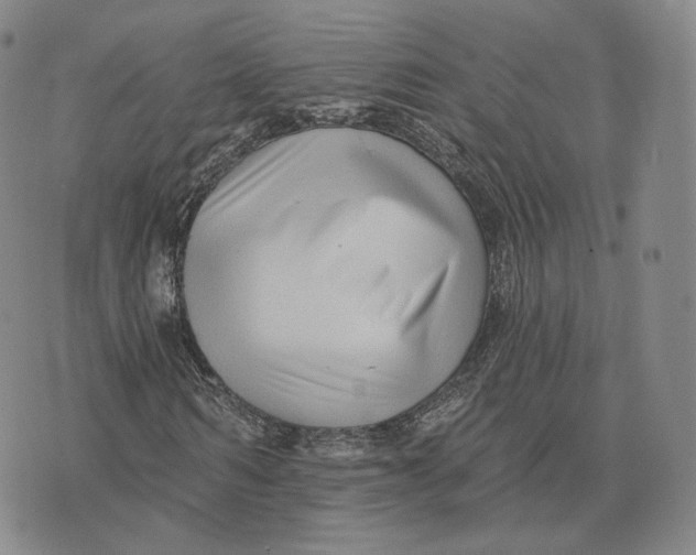 X0000076260962200610191710