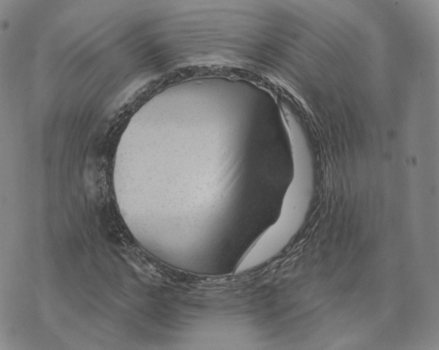 X0000076260968200610191710