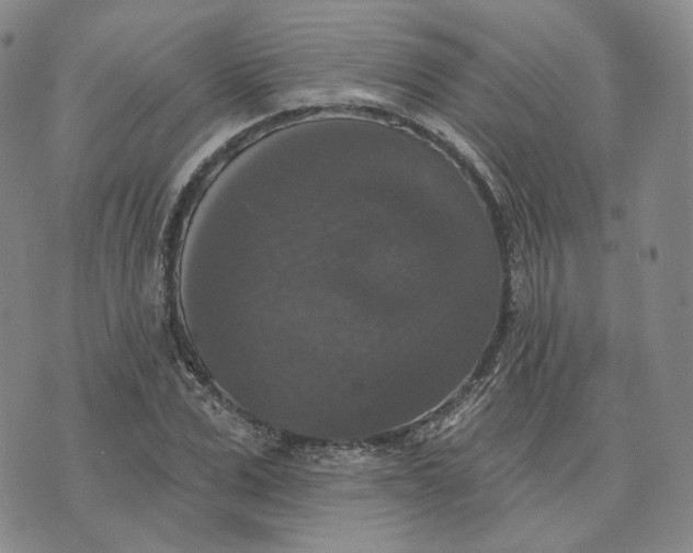 X0000076260975200610191710