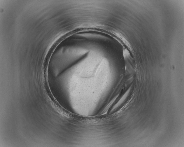 X0000076260976200610191710