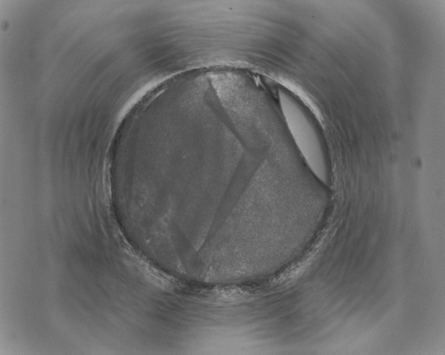 X0000076260983200610191709