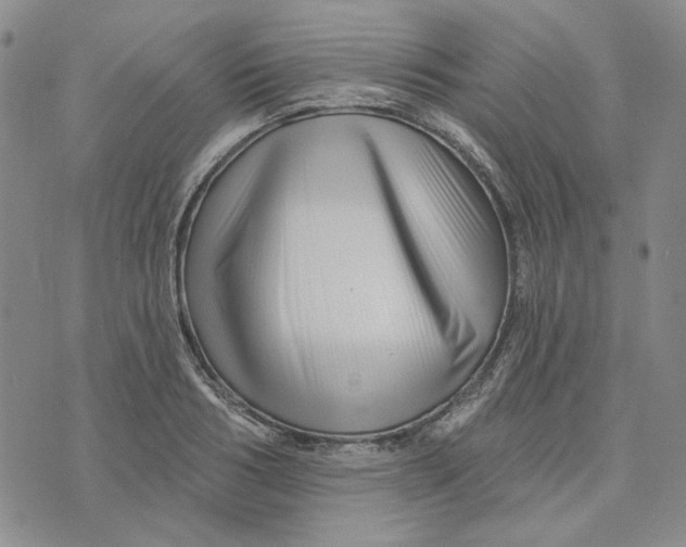 X0000076260986200610191709