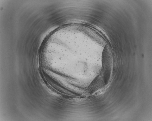 X0000076260987200610191709