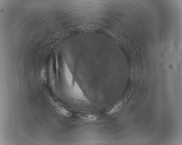 X0000076261010200610191708
