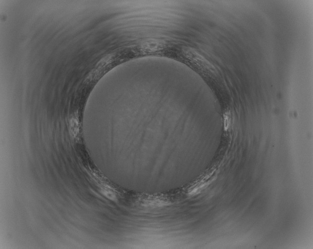 X0000076261011200610191708