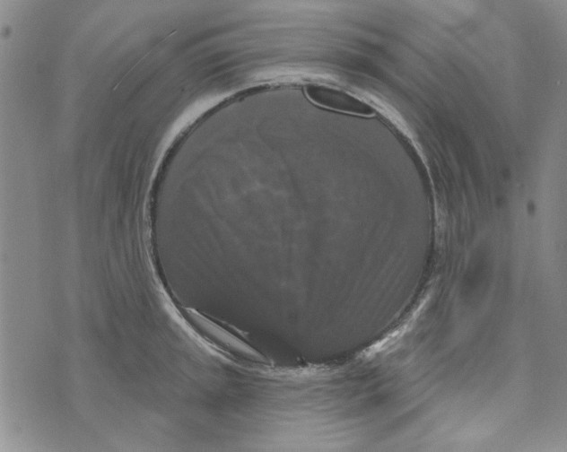 X0000076261045200610191709