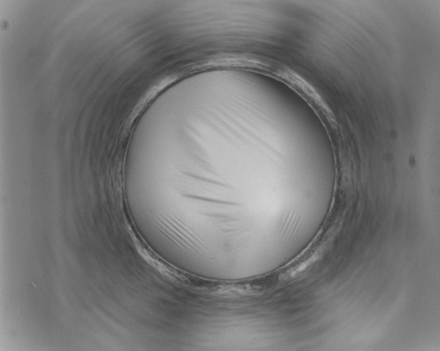 X0000076261049200610191709