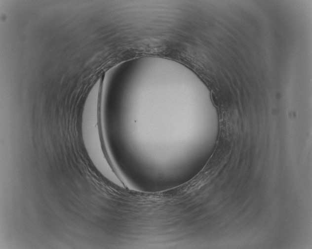 X0000076261058200610191708