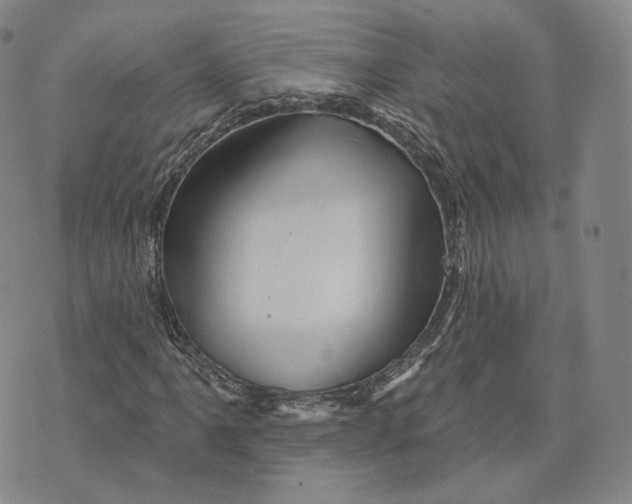 X0000076261061200610191708