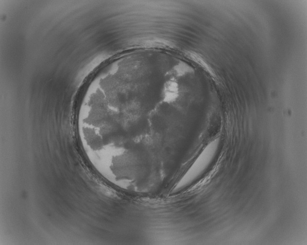 X0000076261071200610191708