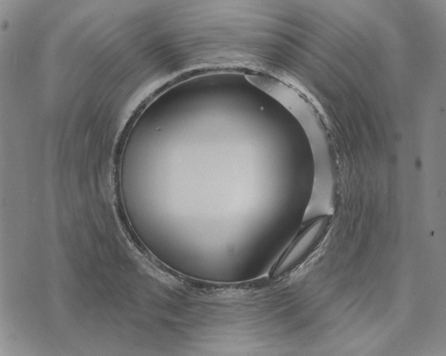 X0000076261085200610191708