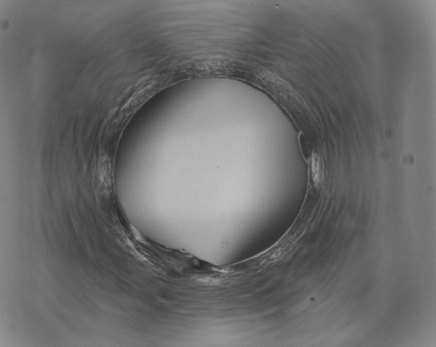 X0000076261107200610191707