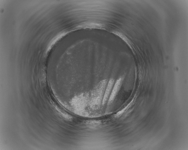 X0000076261115200610191707