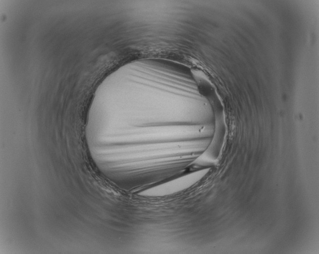 X0000076261153200610191707