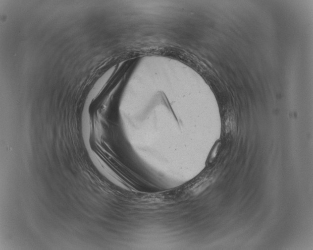 X0000076261156200610191707