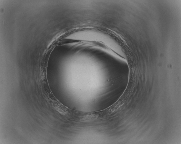 X0000076261160200610191706