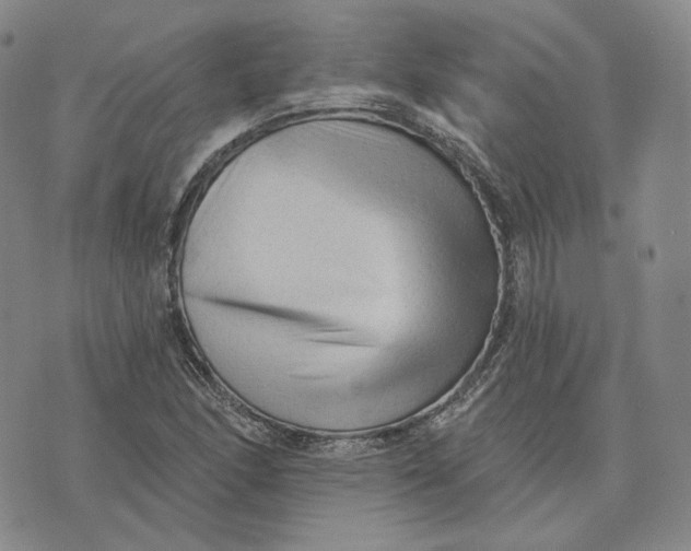 X0000076261166200610191706