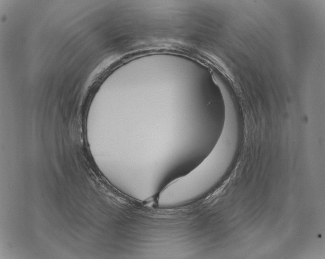 X0000076261172200610191706
