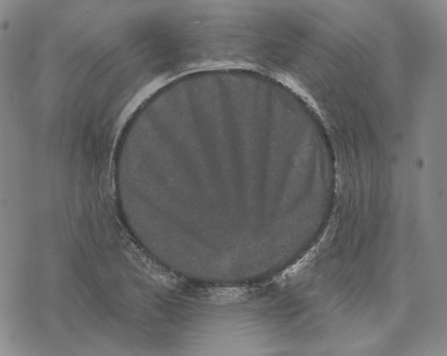 X0000076261173200610191706
