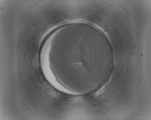 X0000076261174200610191706