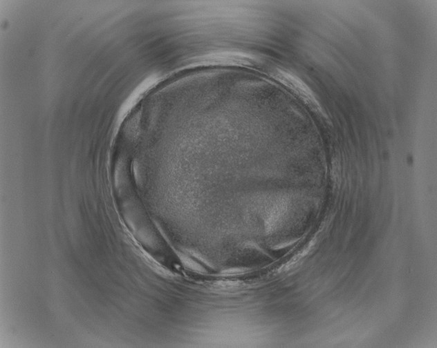 X0000076261180200610191706