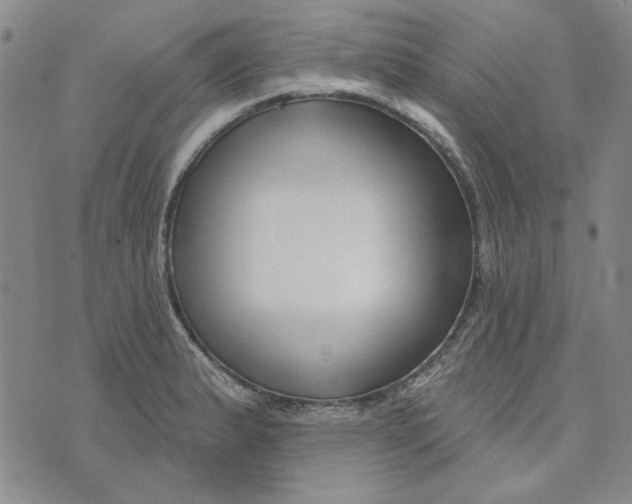 X0000076261183200610191706
