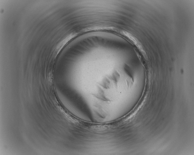 X0000076261185200610191706