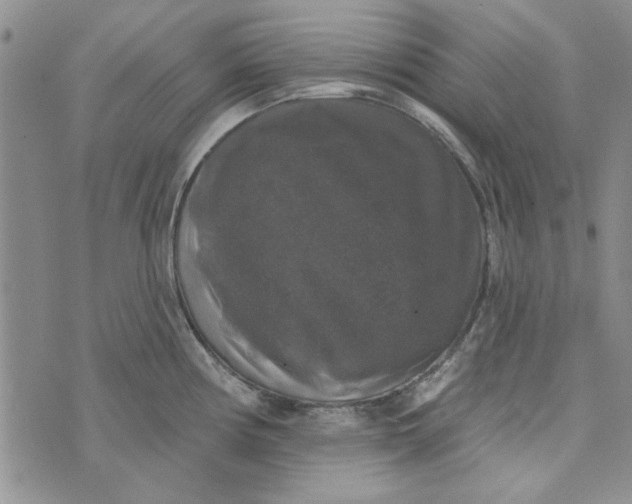 X0000076261194200610191706