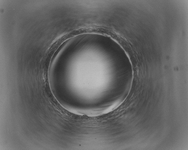 X0000076261206200610191705