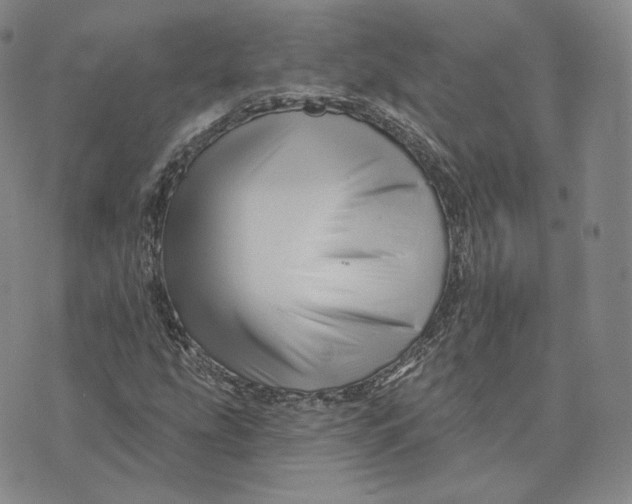 X0000076261207200610191705