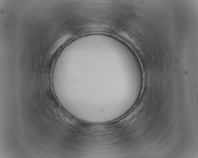 X0000076261211200610191705