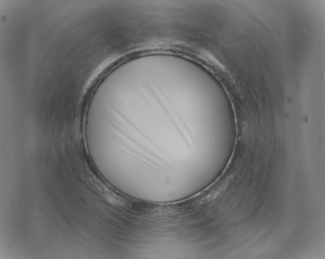X0000076261216200610191705