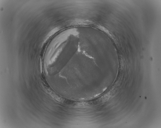 X0000076261219200610191705