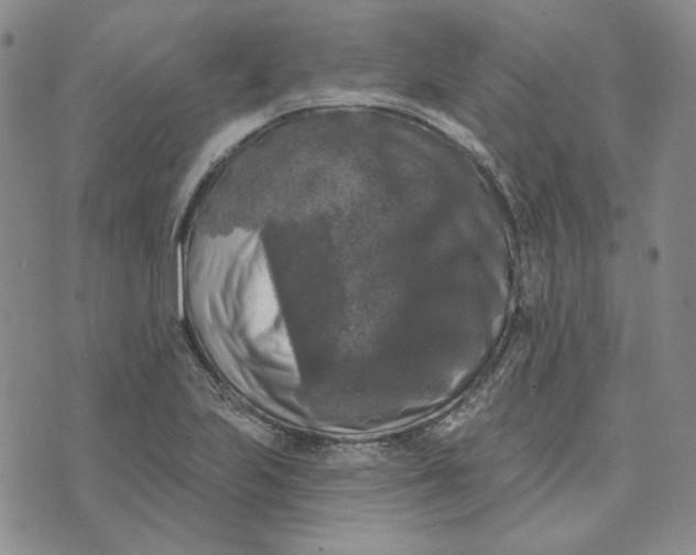 X0000076261223200610191705