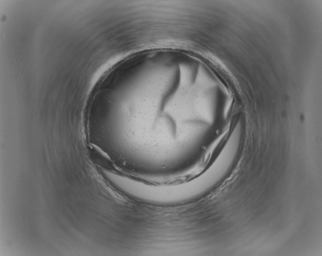X0000076261230200610191706