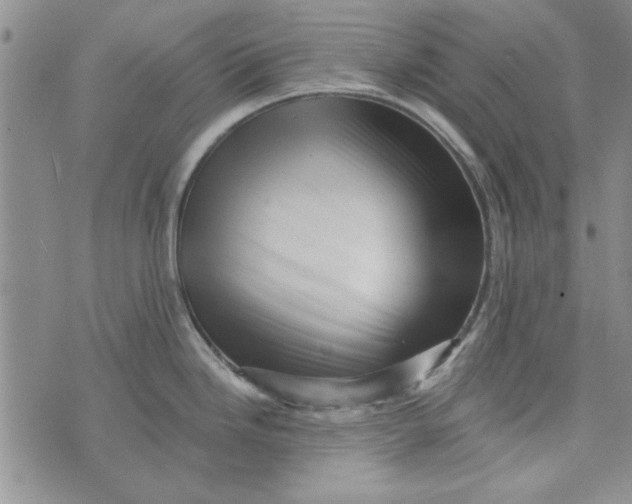 X0000076261246200610191706