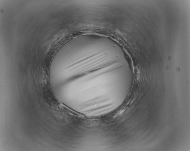 X0000076261253200610191705