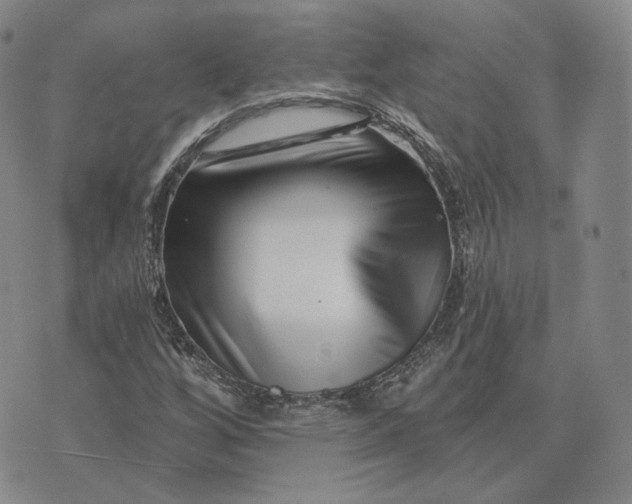X0000076261256200610191705
