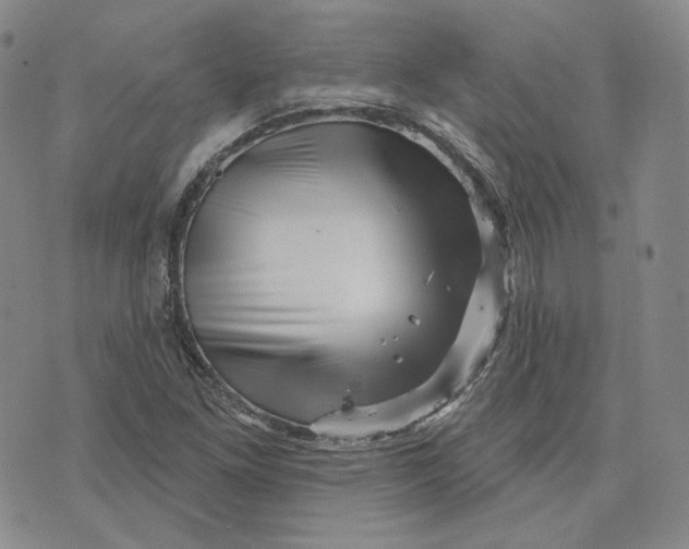 X0000076261261200610191705
