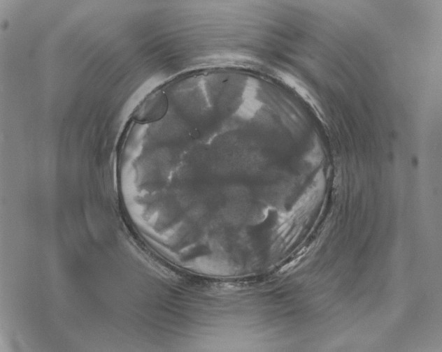 X0000076261275200610191705