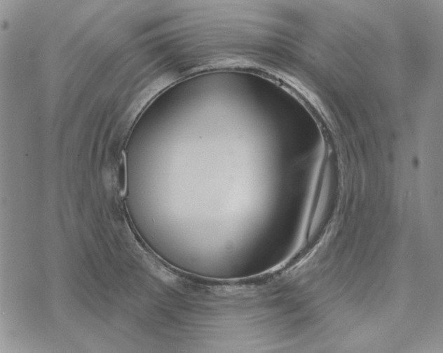 X0000076261281200610191705