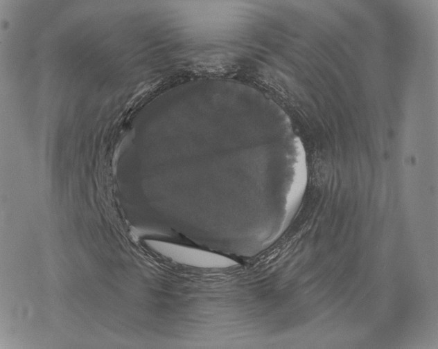 X0000076261297200610191703