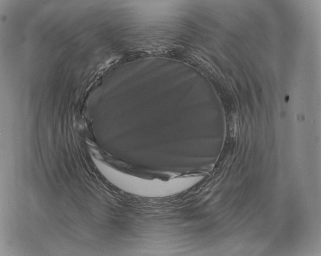 X0000076261298200610191704