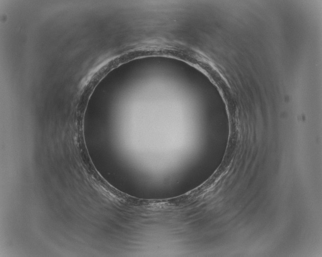 X0000076261304200610191704